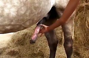 Thú ngon tinh ranh đang bắn tinh trùng