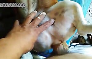 Ấn tượng người quái con chó âm đạo với niềm đam mê